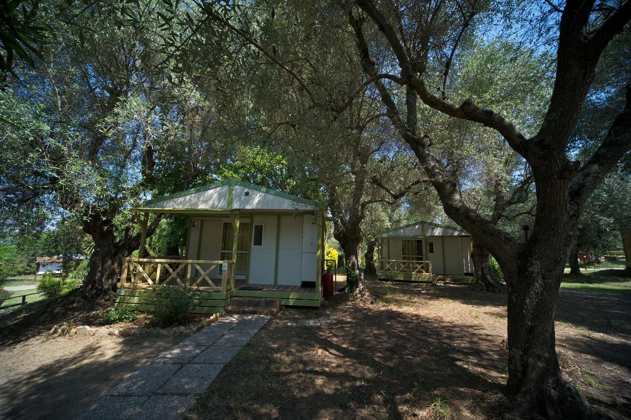Villaggio Turistico Camping Il Fontino Scarlino Luaran gambar