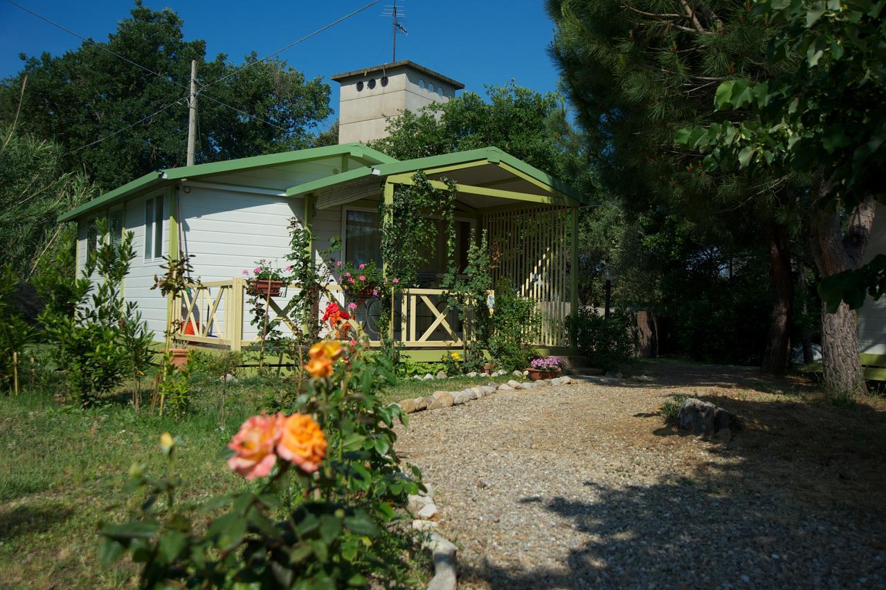 Villaggio Turistico Camping Il Fontino Scarlino Luaran gambar